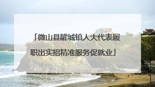 微山县驩城镇人大代表履职出实招精准服务促就业
