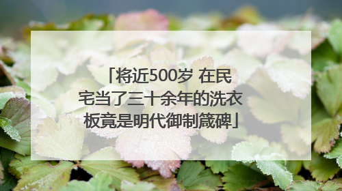 将近500岁 在民宅当了三十余年的洗衣板竟是明代御制箴碑