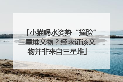 小猫喝水姿势“撞脸”三星堆文物？经求证该文物并非来自三星堆