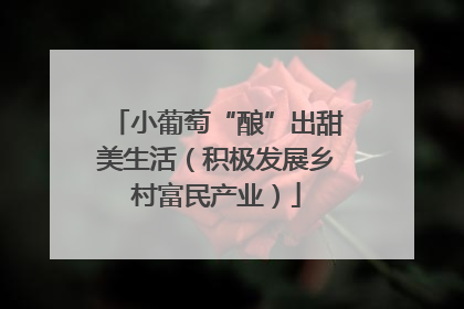 小葡萄“酿”出甜美生活（积极发展乡村富民产业）