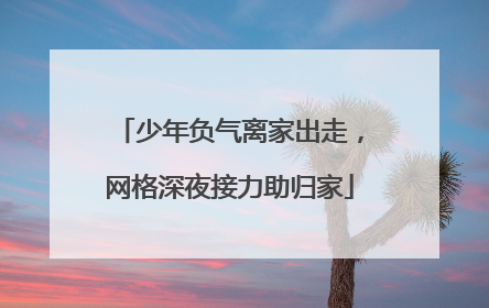 少年负气离家出走，网格深夜接力助归家