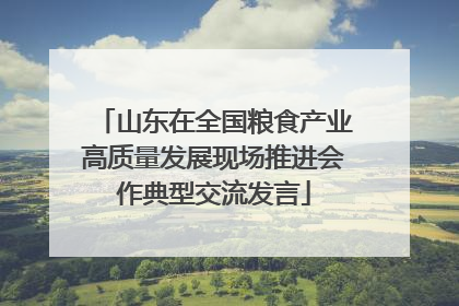 山东在全国粮食产业高质量发展现场推进会作典型交流发言
