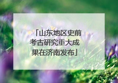 山东地区史前考古研究重大成果在济南发布