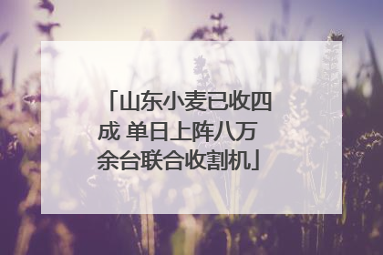 山东小麦已收四成 单日上阵八万余台联合收割机