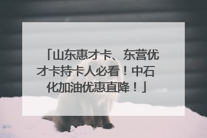 山东惠才卡、东营优才卡持卡人必看！中石化加油优惠直降！