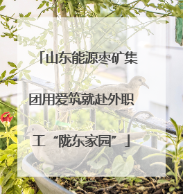 山东能源枣矿集团用爱筑就赴外职工“陇东家园”