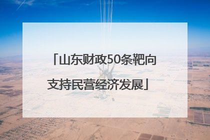 山东财政50条靶向支持民营经济发展