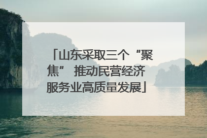 山东采取三个“聚焦” 推动民营经济服务业高质量发展