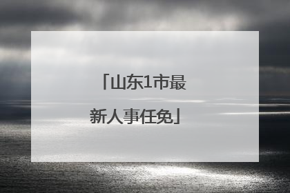 山东1市最新人事任免