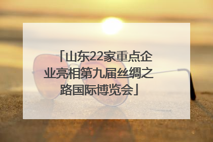 山东22家重点企业亮相第九届丝绸之路国际博览会