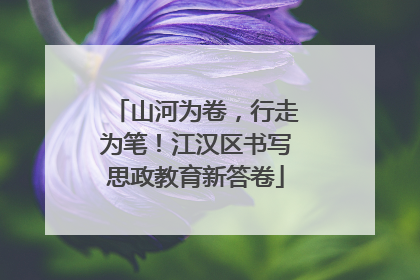 山河为卷，行走为笔！江汉区书写思政教育新答卷