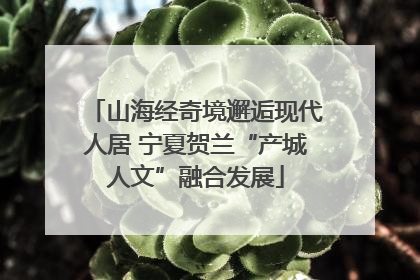 山海经奇境邂逅现代人居 宁夏贺兰“产城人文”融合发展