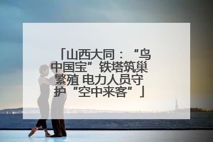 山西大同：“鸟中国宝”铁塔筑巢繁殖 电力人员守护“空中来客”