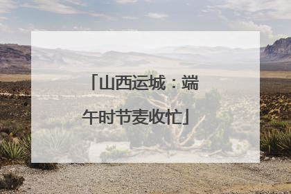 山西运城：端午时节麦收忙