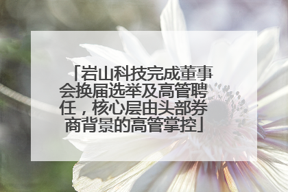 岩山科技完成董事会换届选举及高管聘任，核心层由头部券商背景的高管掌控