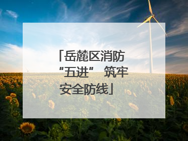 岳麓区消防 “五进” 筑牢安全防线