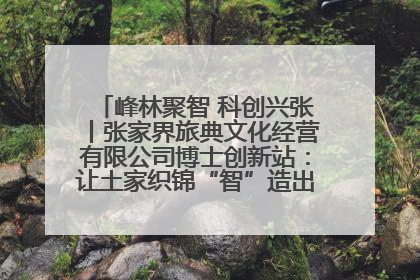 峰林聚智 科创兴张丨张家界旅典文化经营有限公司博士创新站：让土家织锦“智”造出非遗新传奇