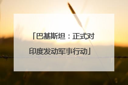 巴基斯坦：正式对印度发动军事行动
