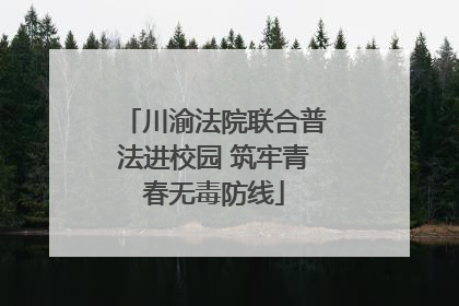 川渝法院联合普法进校园 筑牢青春无毒防线