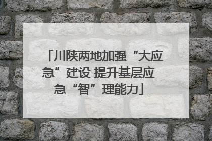 川陕两地加强“大应急”建设 提升基层应急“智”理能力