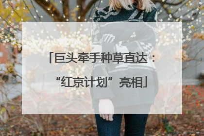 巨头牵手种草直达：“红京计划”亮相