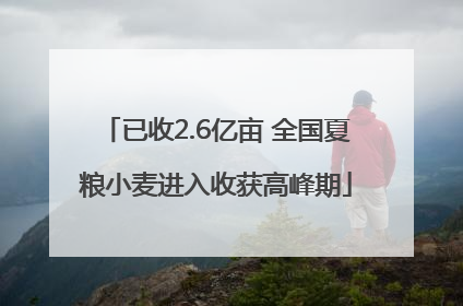 已收2.6亿亩 全国夏粮小麦进入收获高峰期
