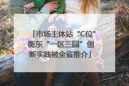 市场主体站“C位” 衡东“一区三园”创新实践被全省推介