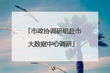 市政协调研组赴市大数据中心调研