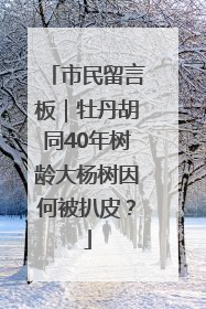 市民留言板｜牡丹胡同40年树龄大杨树因何被扒皮？