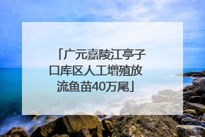 广元嘉陵江亭子口库区人工增殖放流鱼苗40万尾