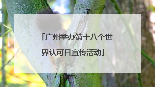 广州举办第十八个世界认可日宣传活动