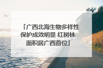 广西北海生物多样性保护成效明显 红树林面积居广西首位