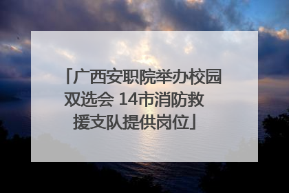 广西安职院举办校园双选会 14市消防救援支队提供岗位