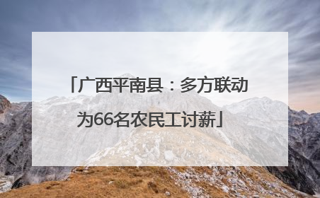 广西平南县：多方联动为66名农民工讨薪