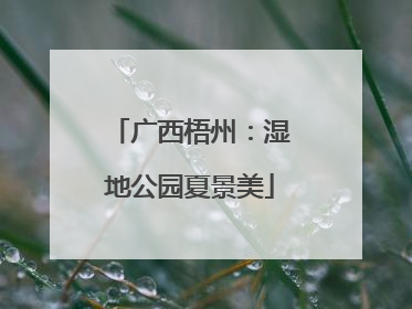 广西梧州：湿地公园夏景美