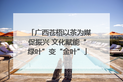 广西苍梧以茶为媒促振兴 文化赋能“绿叶”变“金叶”