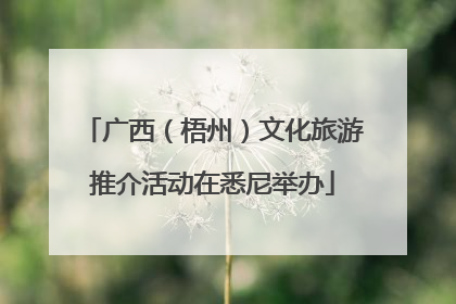 广西（梧州）文化旅游推介活动在悉尼举办