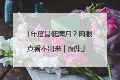 年度最低满月？肉眼真看不出来｜图集
