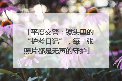 平度交警：镜头里的“护考日记”，每一张照片都是无声的守护