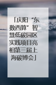 庆阳“东数西算”智慧低碳园区实践项目亮相第三届上海碳博会