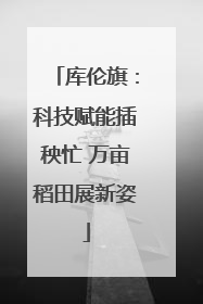库伦旗：科技赋能插秧忙 万亩稻田展新姿