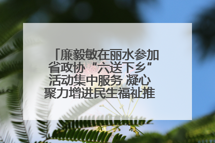 廉毅敏在丽水参加省政协“六送下乡”活动集中服务 凝心聚力增进民生福祉推进共同富裕