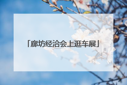 廊坊经洽会上逛车展