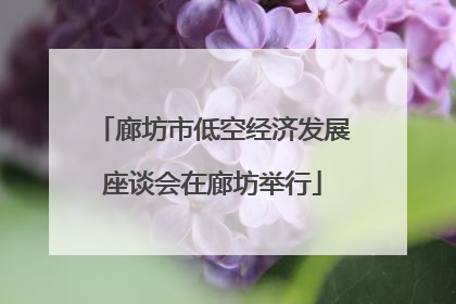 廊坊市低空经济发展座谈会在廊坊举行