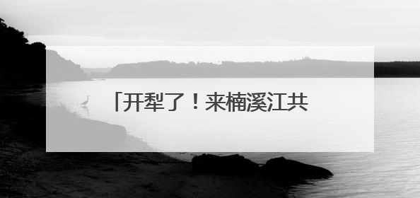 开犁了！来楠溪江共赴一场千年农耕之约