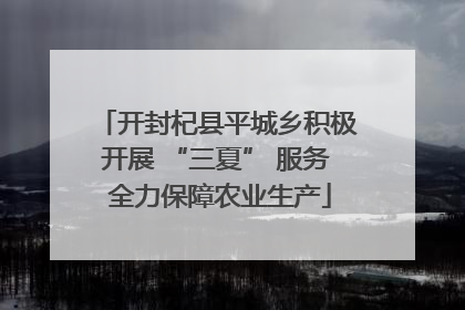 开封杞县平城乡积极开展 “三夏” 服务 全力保障农业生产