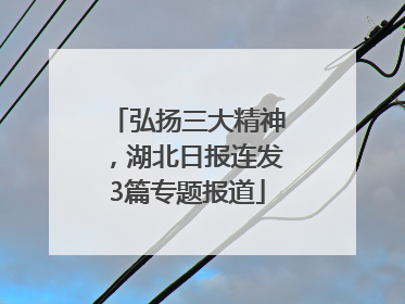 弘扬三大精神，湖北日报连发3篇专题报道