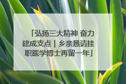 弘扬三大精神 奋力建成支点｜乡亲恳请挂职医学博士再留一年
