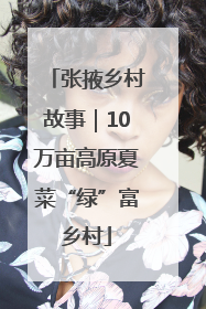 张掖乡村故事｜10万亩高原夏菜“绿”富乡村