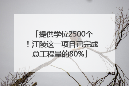 提供学位2500个！江陵这一项目已完成总工程量的80%